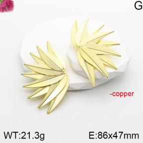 Fashion Copper Earrings  F5E201020abol-J165