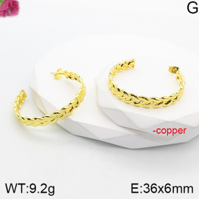 Fashion Copper Earrings  F5E201024bbml-J165
