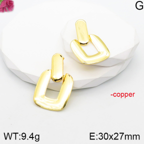 Fashion Copper Earrings  F5E201026vbnb-J165