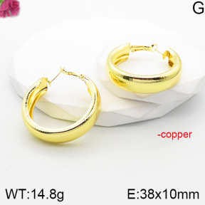 Fashion Copper Earrings  F5E201030vbnb-J165