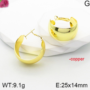 Fashion Copper Earrings  F5E201031vbnb-J165