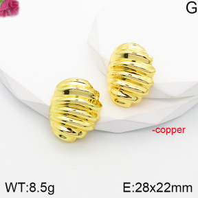 Fashion Copper Earrings  F5E201041vbmb-J165
