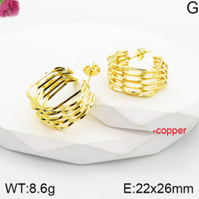 Fashion Copper Earrings  F5E201047vbnl-J165
