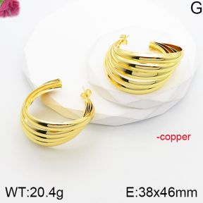 Fashion Copper Earrings  F5E201052abol-J165