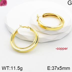 Fashion Copper Earrings  F5E201055vbnl-J165