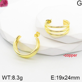 Fashion Copper Earrings  F5E201058vbnb-J165
