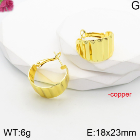 Fashion Copper Earrings  F5E201059vbnb-J165