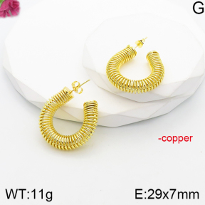 Fashion Copper Earrings  F5E201069vbnb-J165