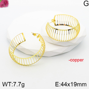 Fashion Copper Earrings  F5E201083vbnb-J165
