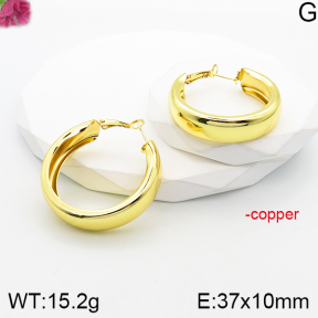 Fashion Copper Earrings  F5E201086vbnb-J165