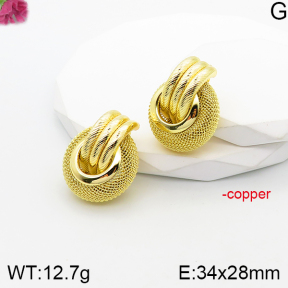 Fashion Copper Earrings  F5E201092bbml-J165