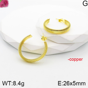 Fashion Copper Earrings  F5E201094vbnb-J165