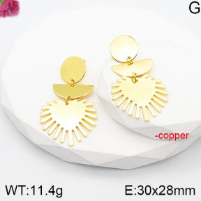 Fashion Copper Earrings  F5E201102vbnb-J165