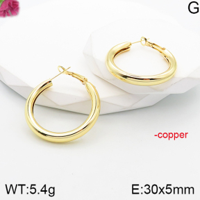 Fashion Copper Earrings  F5E201104vbnb-J165
