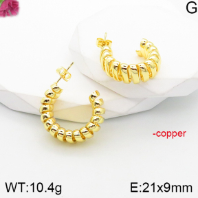 Fashion Copper Earrings  F5E201106vbnb-J165