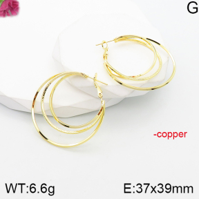 Fashion Copper Earrings  F5E201107bbml-J165