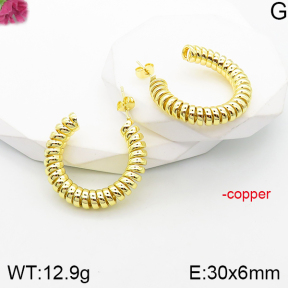 Fashion Copper Earrings  F5E201109vbnl-J165