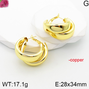 Fashion Copper Earrings  F5E201110vbnl-J165