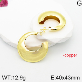 Fashion Copper Earrings  F5E201112vbnl-J165