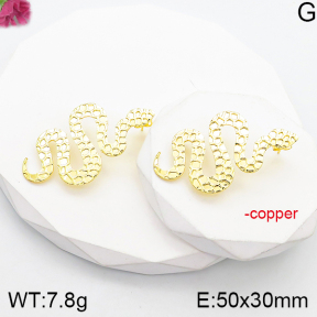 Fashion Copper Earrings  F5E201116vbnl-J165