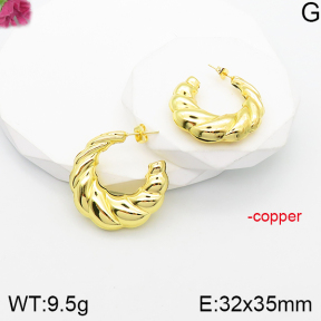 Fashion Copper Earrings  F5E201117vbnb-J165