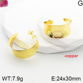 Fashion Copper Earrings  F5E201123vbnl-J165
