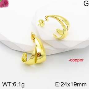 Fashion Copper Earrings  F5E201133bbml-J165