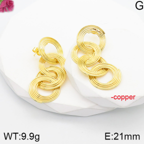 Fashion Copper Earrings  F5E201138bbov-J165