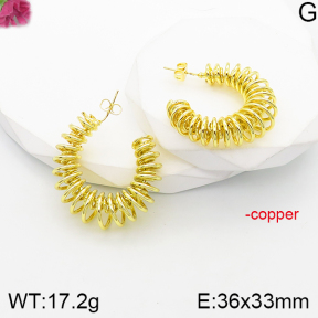 Fashion Copper Earrings  F5E201140vbnl-J165