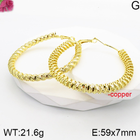 Fashion Copper Earrings  F5E201142vbnl-J165