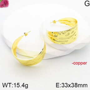 Fashion Copper Earrings  F5E201146vbnl-J165