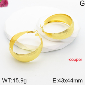 Fashion Copper Earrings  F5E201148vbnb-J165