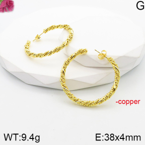 Fashion Copper Earrings  F5E201152vbnb-J165