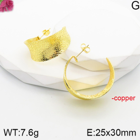 Fashion Copper Earrings  F5E201154vbnb-J165
