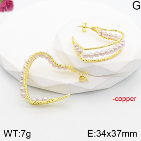 Fashion Copper Earrings  F5E300370vbnl-J165