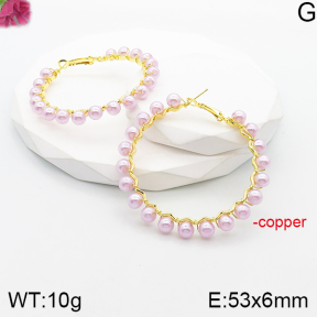 Fashion Copper Earrings  F5E300371vbnb-J165