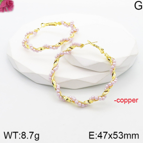 Fashion Copper Earrings  F5E300372vbnb-J165