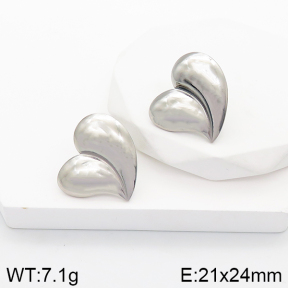 Stainless Steel Earrings  5E2003261vbnb-434