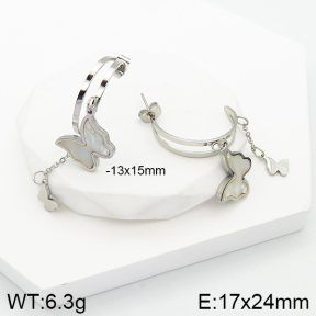 Stainless Steel Earrings  5E3001346vbmb-434