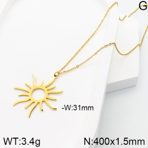 Stainless Steel Necklace  5N2000978ablb-341