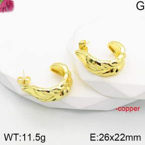 Fashion Copper Earrings  F5E200771vbnb-J165