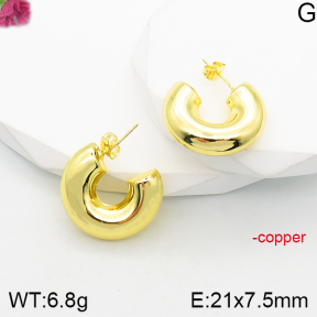 Fashion Copper Earrings  F5E200773vbnl-J165