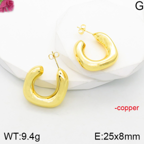 Fashion Copper Earrings  F5E200774vbnl-J165