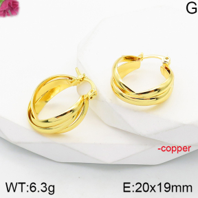 Fashion Copper Earrings  F5E200779vbnl-J165