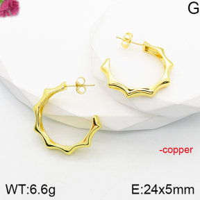 Fashion Copper Earrings  F5E200780vbnb-J165