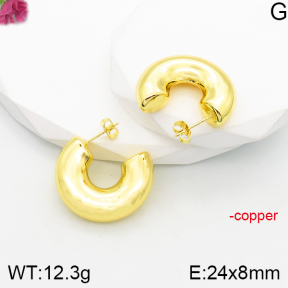 Fashion Copper Earrings  F5E200781vbnl-J165