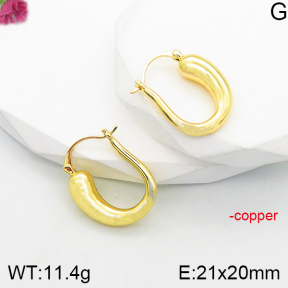 Fashion Copper Earrings  F5E200782vbnb-J165