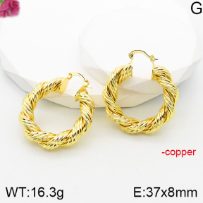 Fashion Copper Earrings  F5E200783vbnb-J165