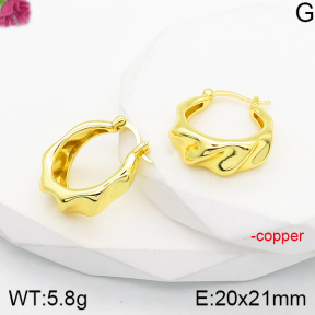 Fashion Copper Earrings  F5E200785vbnl-J165