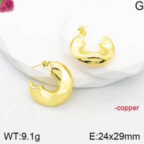 Fashion Copper Earrings  F5E200786vbnl-J165